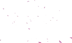 Pink Petals Falling - High Quality PNG - Curated PNG