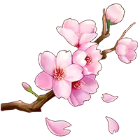 Cherry Blossom - No Background PNG - Designer Recommended PNG