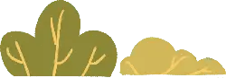 Two Trees - plants - Lossless PNG