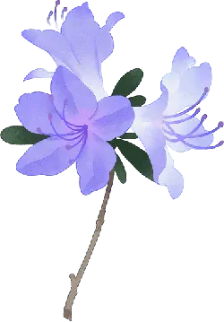 Azalea - art - Transparent Background PNG