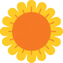 Sunflower - simple - cartoon - PNG