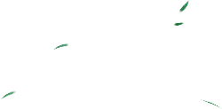 Green Light Spots - Fast Download PNG
