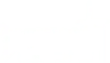 DANCING-CITY - growth - No Background PNG