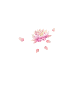 Pink Lotus Flower - nature - Lossless PNG