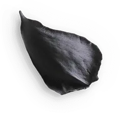 Petal - petal - textured - Free Download PNG