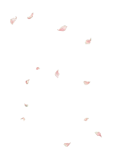 Pink Petals Falling - pink - Trending PNG