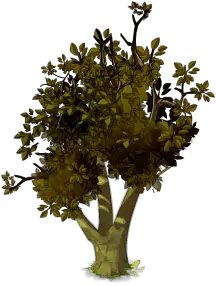 Tree - branches - Transparent Background PNG