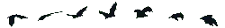 Bat - flying - Trending PNG