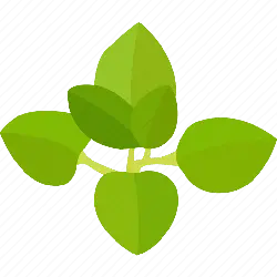 Plant - High Quality PNG
