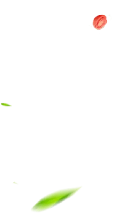 Red Balloon - nightsky - Lossless PNG