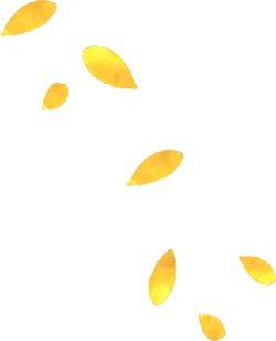 Yellow Leaves - autumn - No Watermark PNG