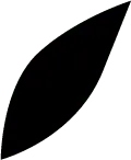 White Line Pattern on Black Background - PNG - geometric