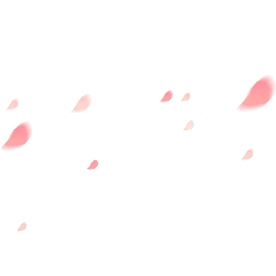 Pink Petals Falling - Free Download PNG - falling