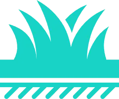Grass - grassland - No Background PNG