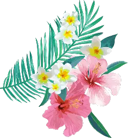 Tropical Flowers - green leaves - High Resolution PNG