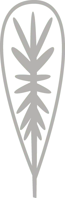 Feather - birds - Transparent Background PNG