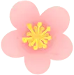 Cherry Blossom - Transparent Background PNG - beautiful - Pic 1