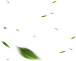 Leaves Falling - green - Lossless PNG