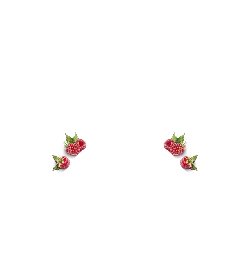 Raspberry - healthy - red - PNG