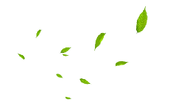 Leaves Falling - green - Recommended PNG