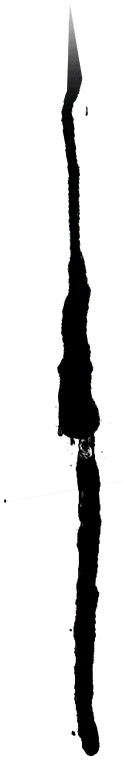 No Watermark PNG - Black Owl - mouse catcher