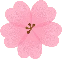 flower - High Download Count PNG - Cherry Blossom