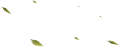 Yellow Leaves Falling - nature - PNG Images