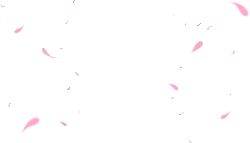 Pink Petals Falling - decoration - Transparent Background PNG