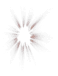 Red Flower - beautiful - Trending PNG