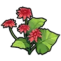 Pelargonium hortorum - green leaves - PNG Images