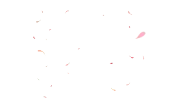 Pink Petals Falling - decoration - fall - No Watermark PNG