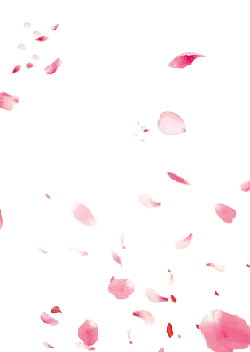 Pink Petals Falling - Designer's Pick PNG - pink
