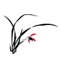 Red Bow - ribbon - decoration - High Resolution PNG