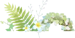 Green Leaves and White Flowers - leaves - Free PNG