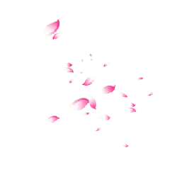 Pink Petals - background - Transparent Layer PNG