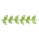 Olive Branch - Free for Commercial Use PNG - hope