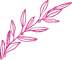 Olive Branch - plant - Transparent Layer PNG