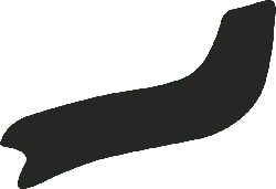 Black Irregular Shape - creativity - Lossless PNG