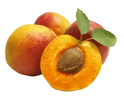 Apricot - Transparent Layer PNG