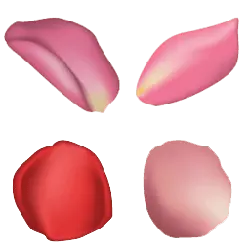 Petals - Transparent Layer PNG
