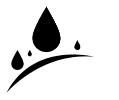 Designer's Pick PNG - Black Owl - night
