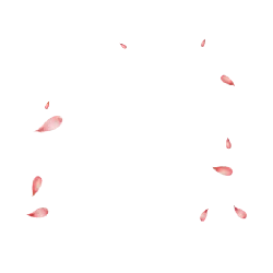 Pink Petals Falling - Transparent Layer PNG - nature