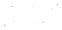 Pink Petals - No Watermark PNG - Popular Download PNG