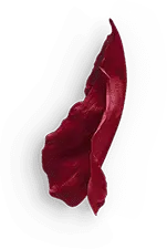 Red Petal - Designer's Pick PNG