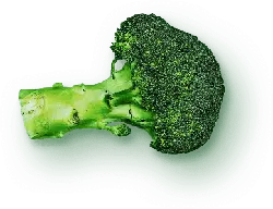 Broccoli - Transparent Layer PNG - nutrition