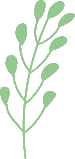 Plant Branch - Curated PNG