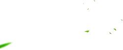 Green Leaves - environmental protection - Free PNG