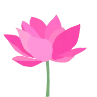 Pink Lotus Flower - pink - PNG Images