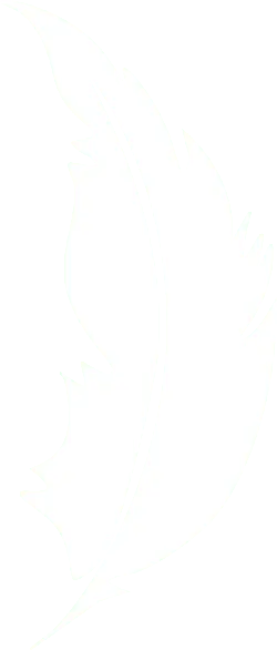 Feather - Trending PNG - lightweight