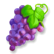 Grapes - healthy - purple - High Resolution PNG
